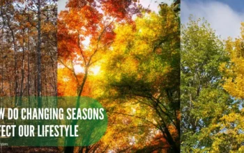 how do changing seasons affect our lifestyle